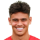 هیلگرس
