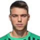 Artioli F.