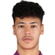 Mahmoud A. N.