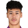 Mahmoud A. N.