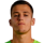 Vitek R.