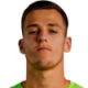 Vitek R.