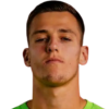 Vitek R.