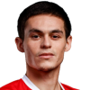 Ibishev T.