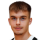 Petrovic M.