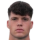 Theiner D.
