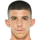 Turgeman D.