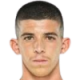 Turgeman D.