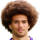 فابیش
