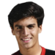Russo J.