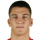 Sljivic J.