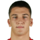 Sljivic J.