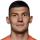 Corluka J.