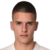 Stjepanovic M.