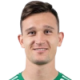 استفولی