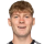 Pierani V.