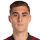 Perruzza J.