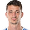 Mitrovic D.