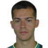 Aleksic K.