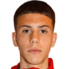 Pavlovic A.