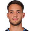 Pavlovic D.