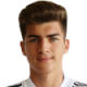 Miladinovic U.