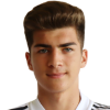 Miladinovic U.