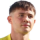 Gulerer M.