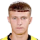 Levytskyi B.