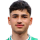 Psilogenis G.