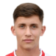 Kolarevic M.