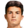 Sahin D.
