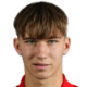 Kostov V.