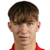 Kostov V.