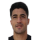 Ibanez N.