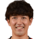 Ishikawa D.