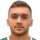Sabanadzovic A.