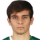Davlitgereev A.