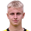 Krevsun D.