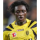Sene B.
