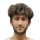Ozcan N.