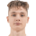 Nikitin D.
