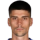Todosijevic M.