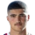 Avlayici M.
