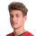 Brlek L.