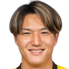 Nishikawa K.
