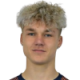 Kolarik J.