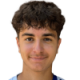 Sahin D.