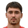 Milicic N.