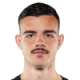 Milanovic N.